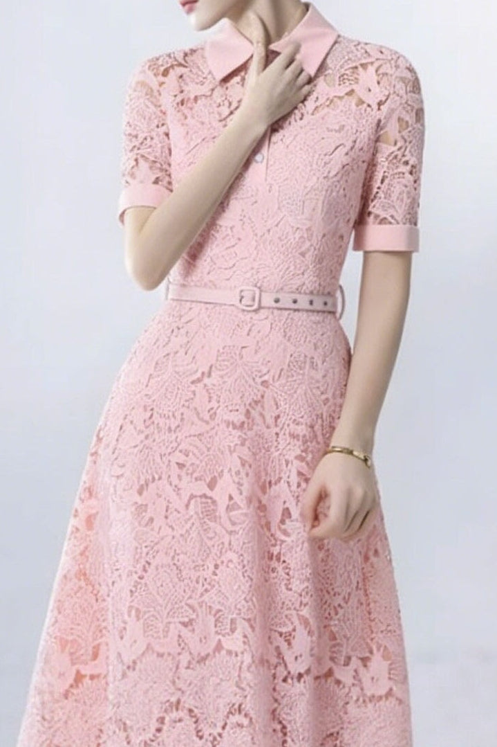 Lace Collared Midi Dress