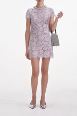 Lace Mini Dress