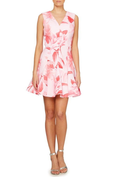 Pink Floral Print V-Neck Mini Dress