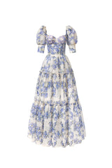Print Voluminous Sleeves Maxi Dress in Blue