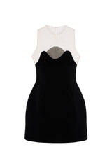 Sleeveless Mini Dress